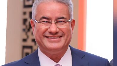 الأستاذ الدكتور عبد الناصر عمر