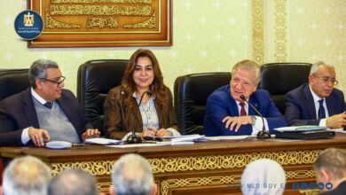 وزيرة التنمية المحلية