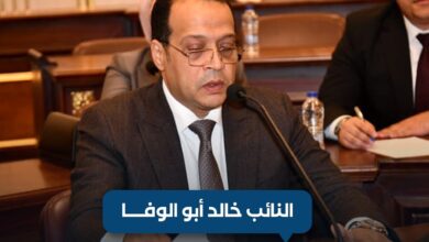 النائب خالد أبو الوفا