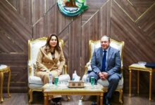 هيئة تنمية الصعيد