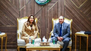 هيئة تنمية الصعيد