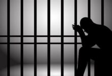 ضبط سائق محافظ الدقهلية