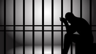 ضبط سائق محافظ الدقهلية