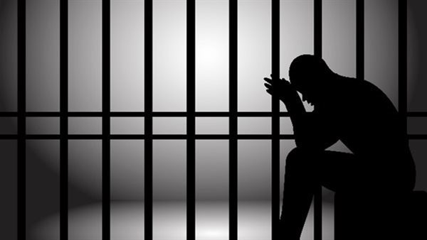 ضبط سائق محافظ الدقهلية