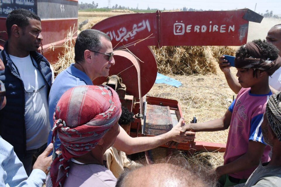 موسم حصاد القمح