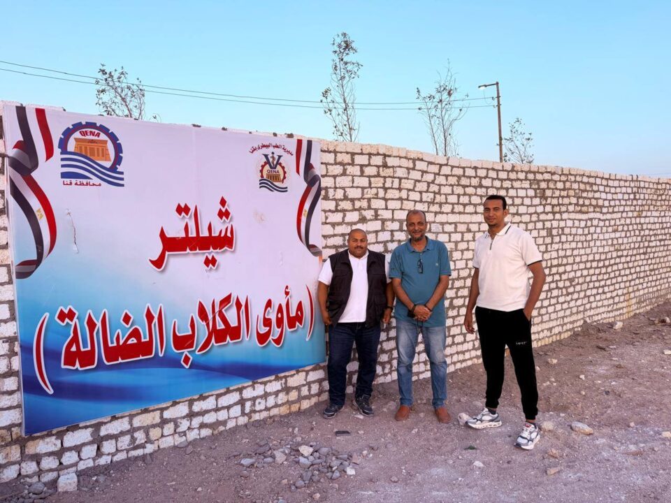 حملة مكثفة لنقل الكلاب الضالة من شوارع قنا الجديدة إلى مأوى مخصص استجابة لشكاوى المواطنين